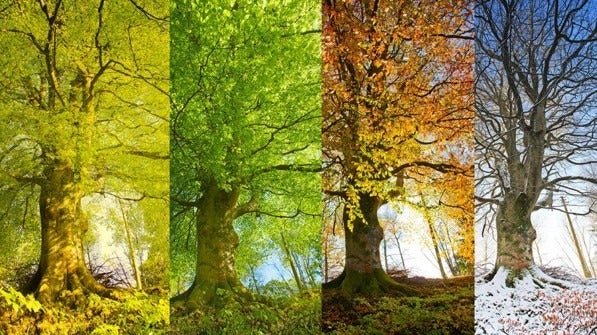 Body’s Natural Seasons